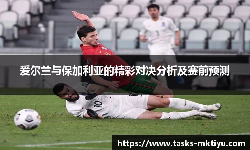 mk体育官网入口