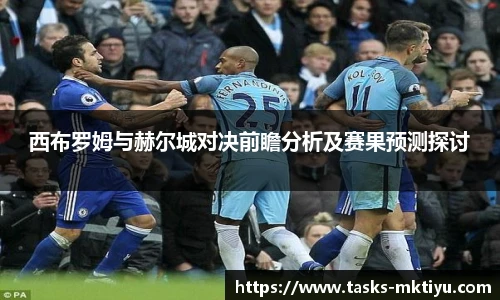 西布罗姆与赫尔城对决前瞻分析及赛果预测探讨
